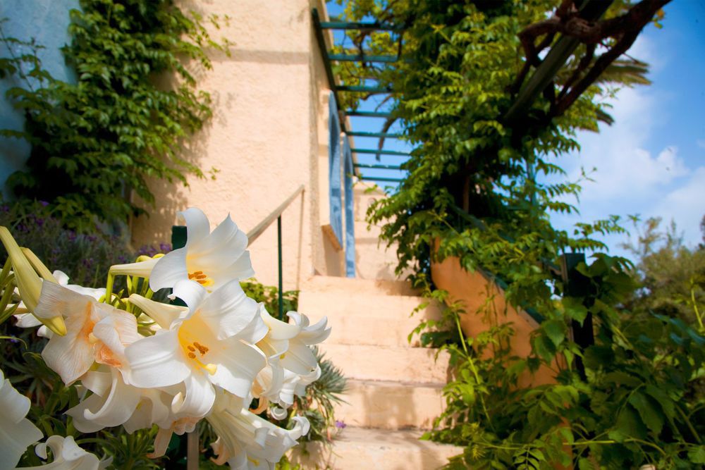 Coriva Beach Hotel & Bungalows Koutsounari Interior photo